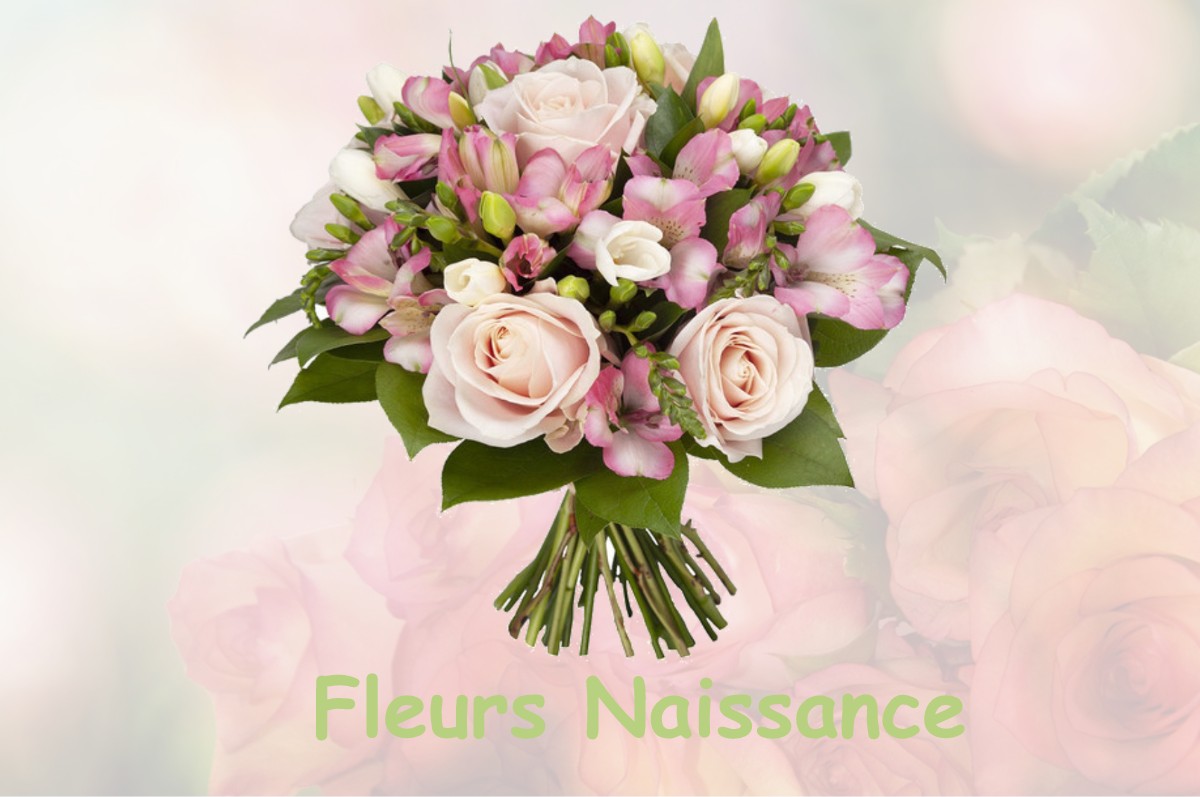 fleurs naissance ETABLE