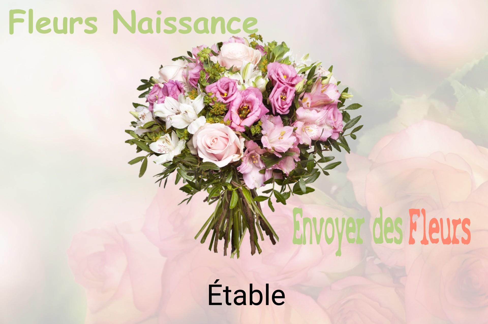 Bouquet de fleurs de naissance livré à Étable