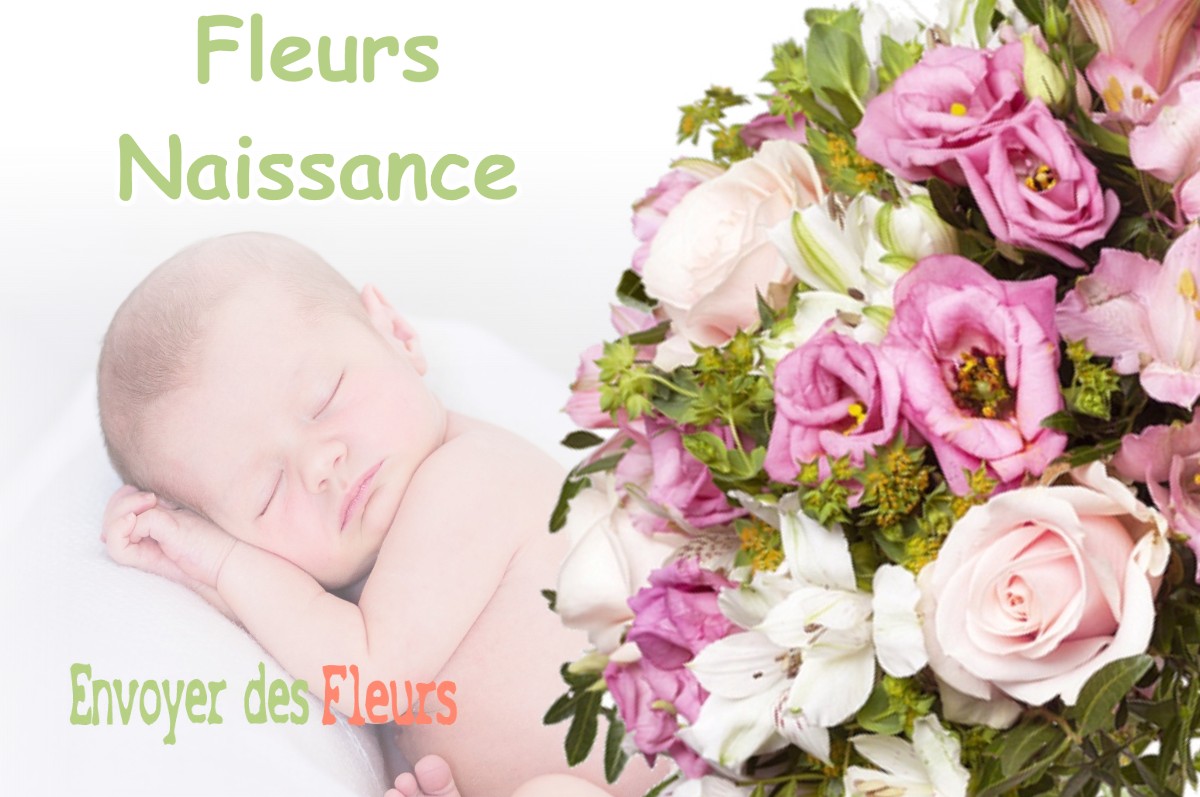 lIVRAISON FLEURS NAISSANCE à ETABLE