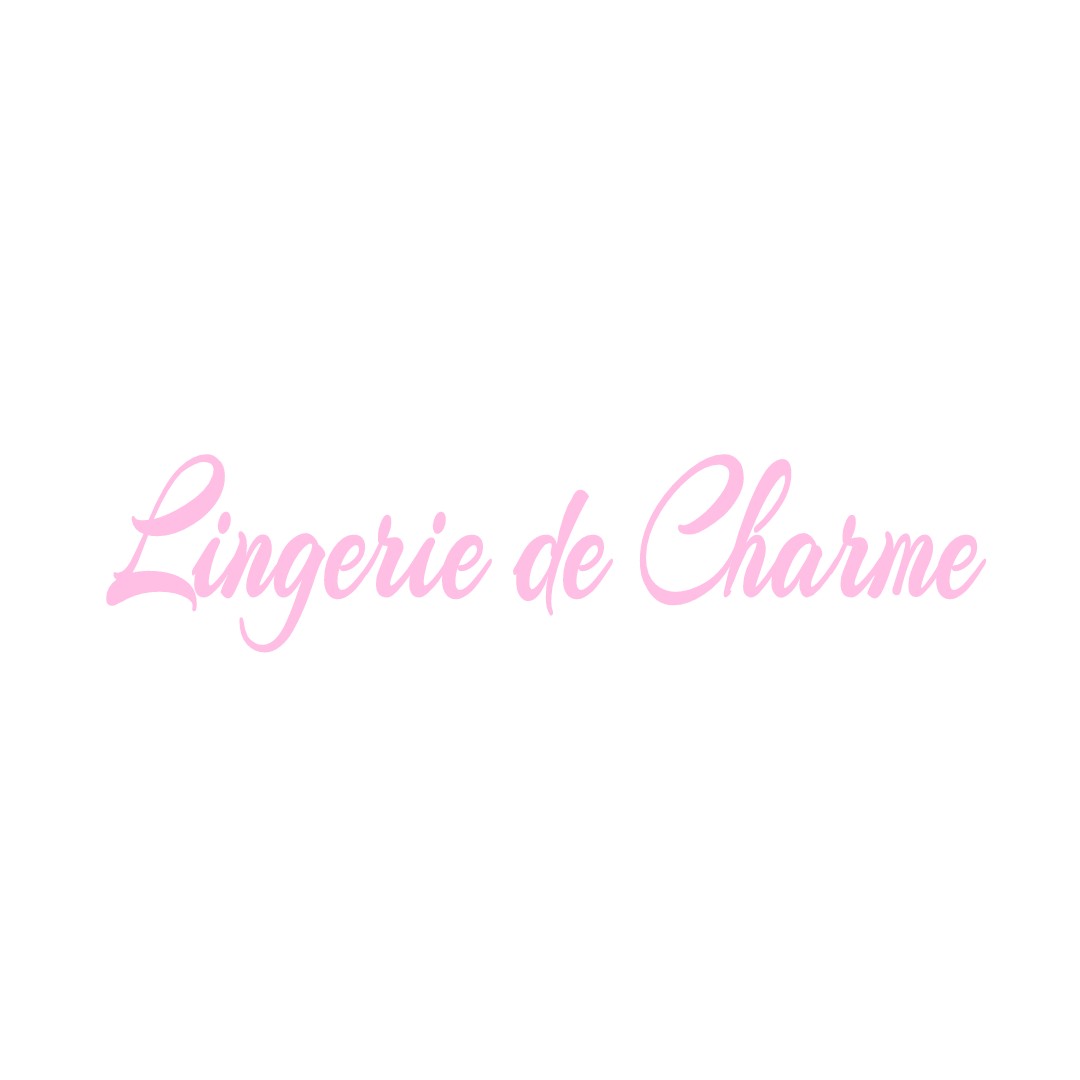 LINGERIE DE CHARME ETABLE